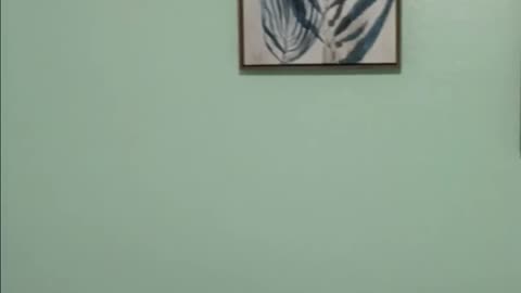 My Room, Puerto Rico