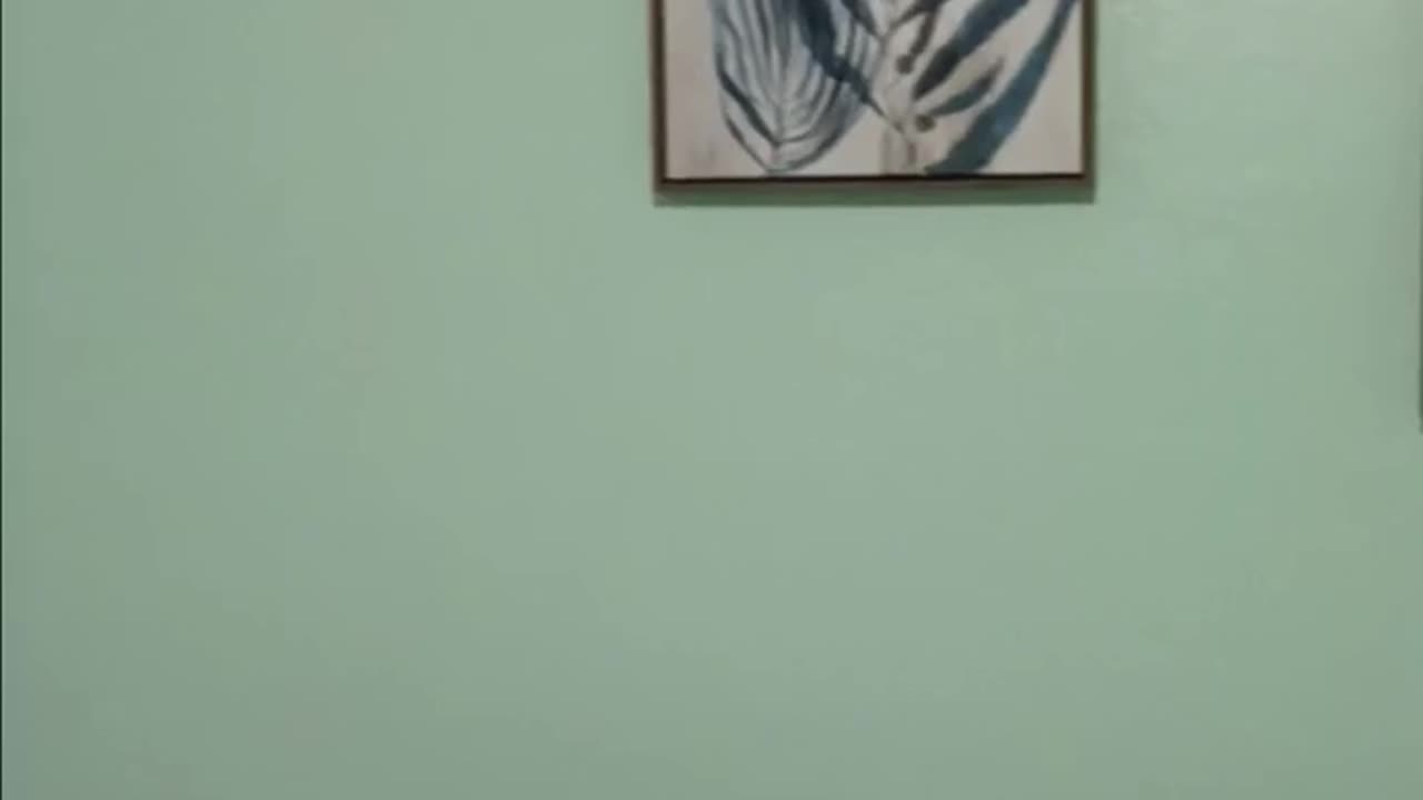 My Room, Puerto Rico