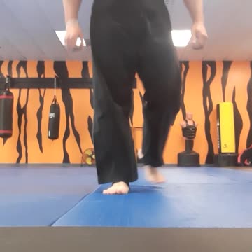 Tong Hap Kwan Hoshinsul Kicking Techniques