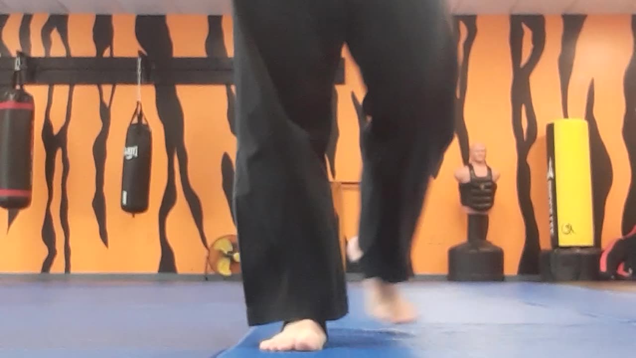 Tong Hap Kwan Hoshinsul Kicking Techniques