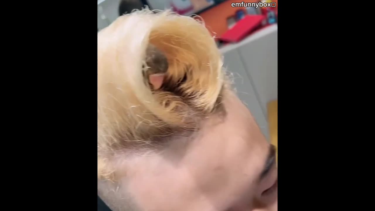 Super stylish hairstyle part 3 🐦😂😂👍
