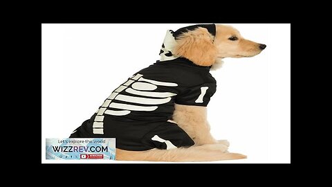 Skeleton Glow in the Dark Pet Costume Review