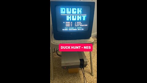 Duck Hunt NES