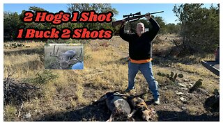 1 SHOT 2 HOGS, 2 SHOTS 1 WIDE BUCK!! Central Texas Hunting 2nd Biggest buck #hunting