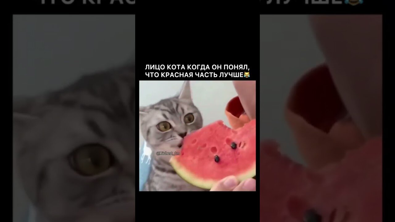 Когда пришло понимание