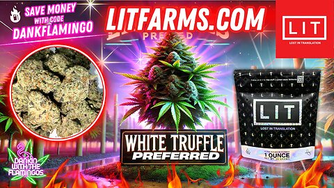 Relaxing with White Truffle Preferred from Lit Farms! Dankin with the Flamingos Review!!