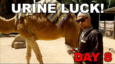 Islamicize Me Day 8: Camel Pee Cures Us!