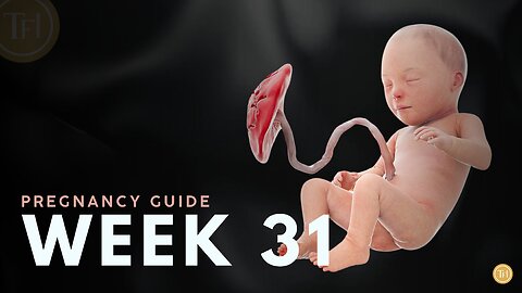 What to Expect at Week 31 | Week by Week Pregnancy Guide