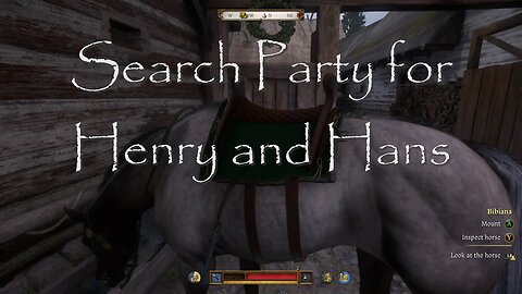 Search Party for Henry and Hans