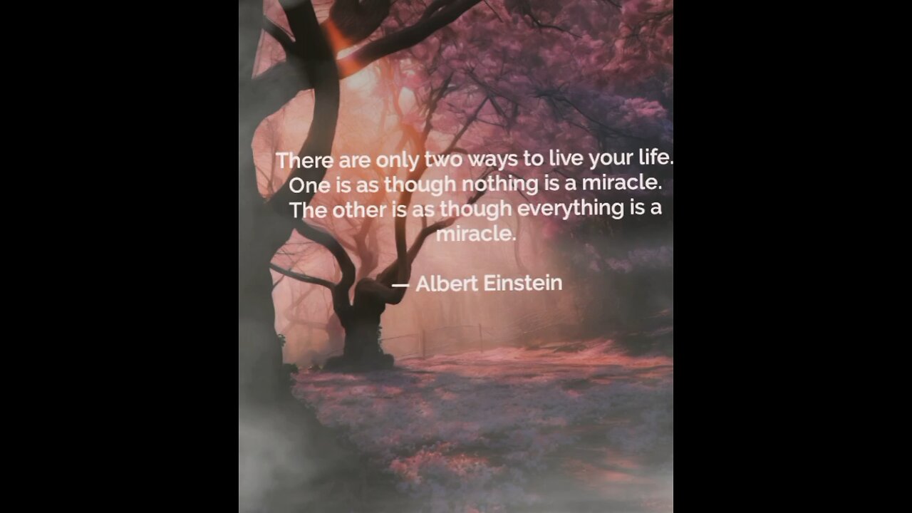 Your Qoute For A Day 248