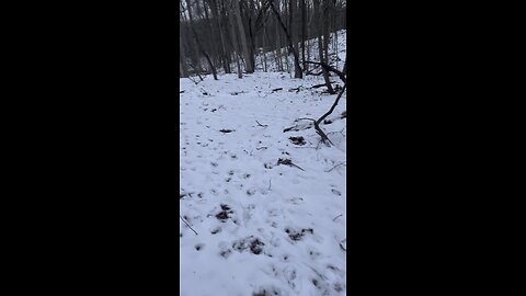 Out hiking in the snow