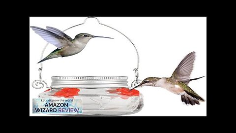 Nature's Way Bird Products MJF1 Nature's Way Mason Jar Hummingbird Dish Feeder Review