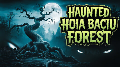 Hoia Baciu Forest: Romania’s Haunted Bermuda Triangle of Transylvania