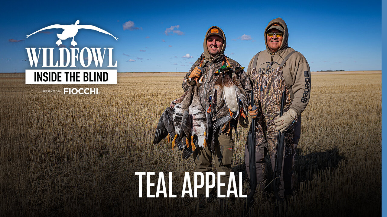 Teal Appeal - Inside The Blind