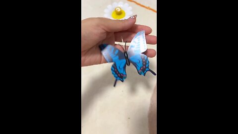 Cat Toy Rotating Butterfly – Pawpycup(MP4)