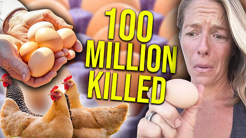 100 million chickens killed by USDA protocol || Dr. Meryl Nass