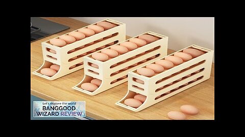 Automatic Scrolling Egg Rack Holder High Capacity Storage Box with Individual Egg Review