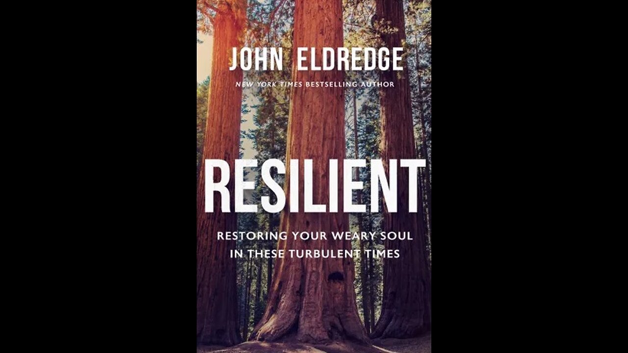 Resilient (Book of the Week 12/29/2024)