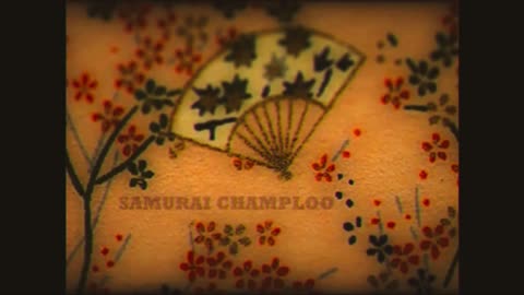 adult swim saturday action, bumpers and promos