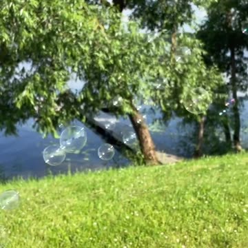 Everyday life in the Magic Place