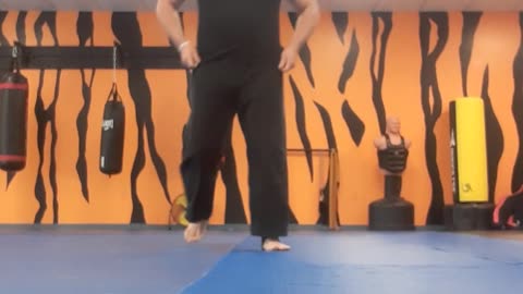 Tong Hap Kwan Hoshinsul Kicking Techniques