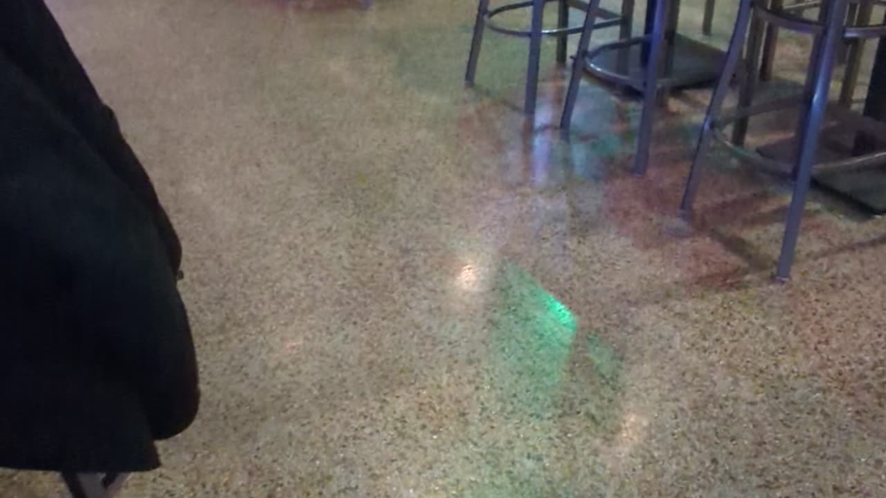 Otto at Fermata Brewing