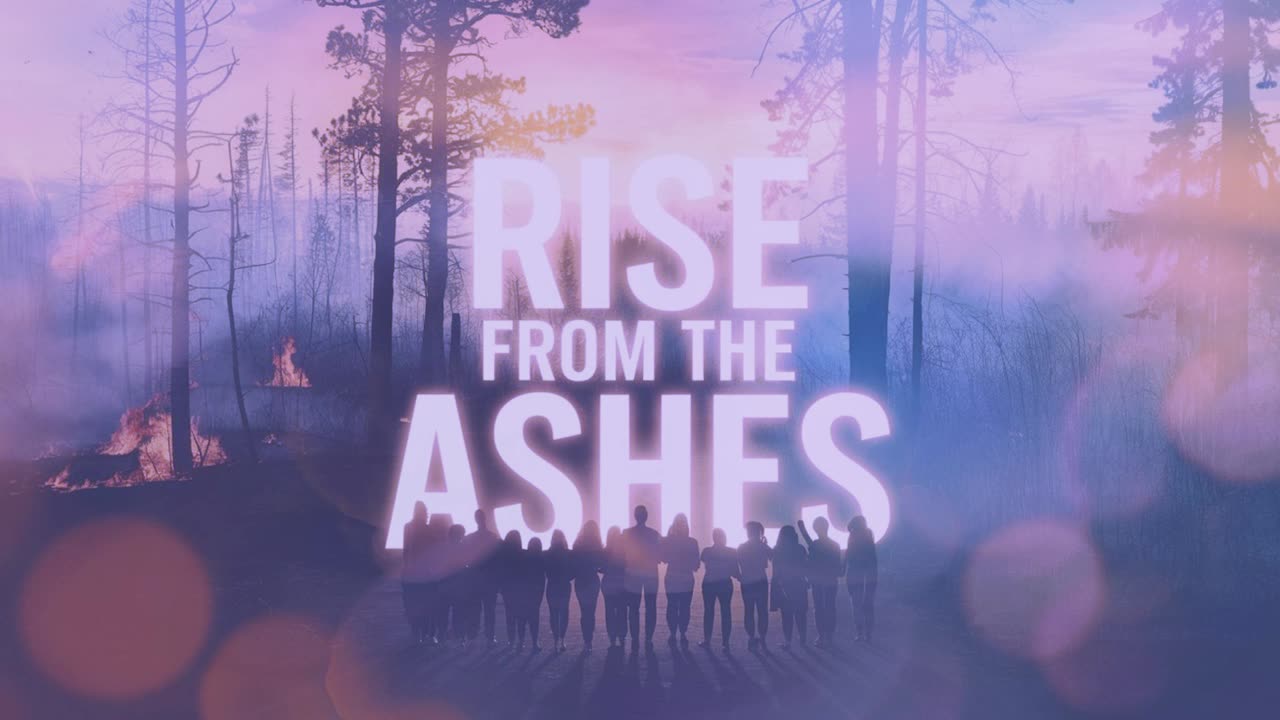 Rise from the Ashes | Fresh Music Drop 🚀 | New Song Every Day