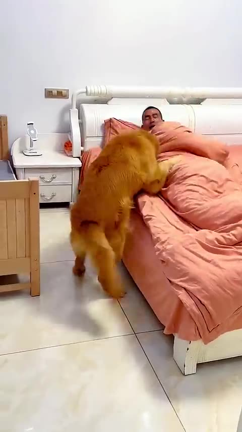 Smart Dog - Kindness 🙀🤣🤣🤣