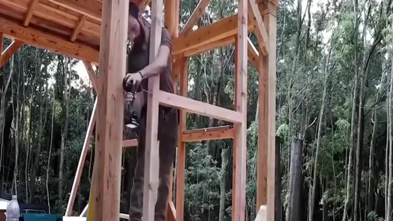 Building cabin in the forest