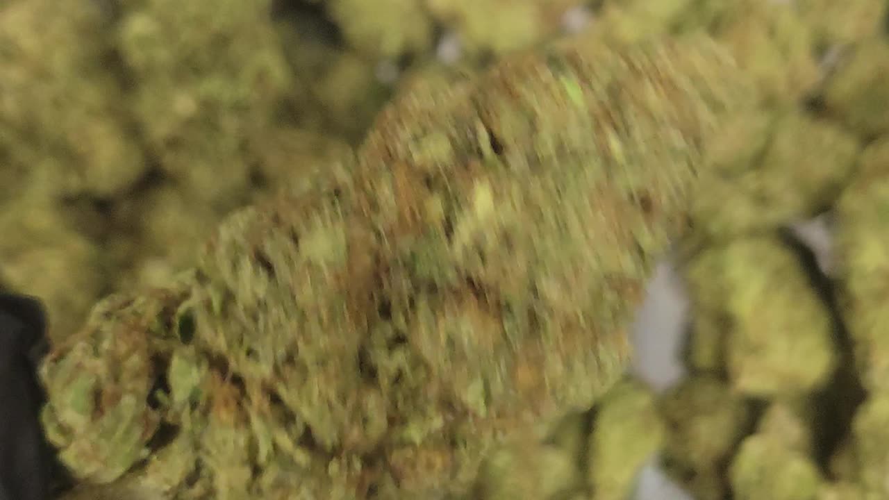 Super Glue THCA Flower