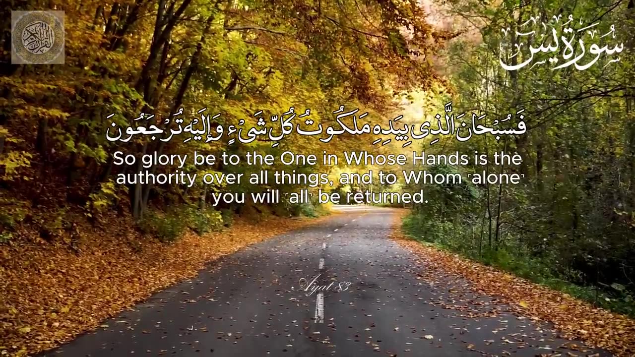 Surah Yaseen | #Qari_Tareq_Mohammed | سورة يس | القارئ طارق محمد Quran recitation