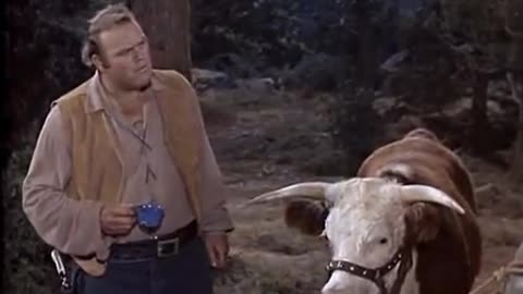 16Bonanza - El Toro Grande