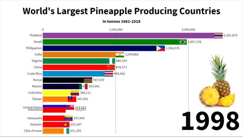 19 - World's Largest Pineapple Producing Countries