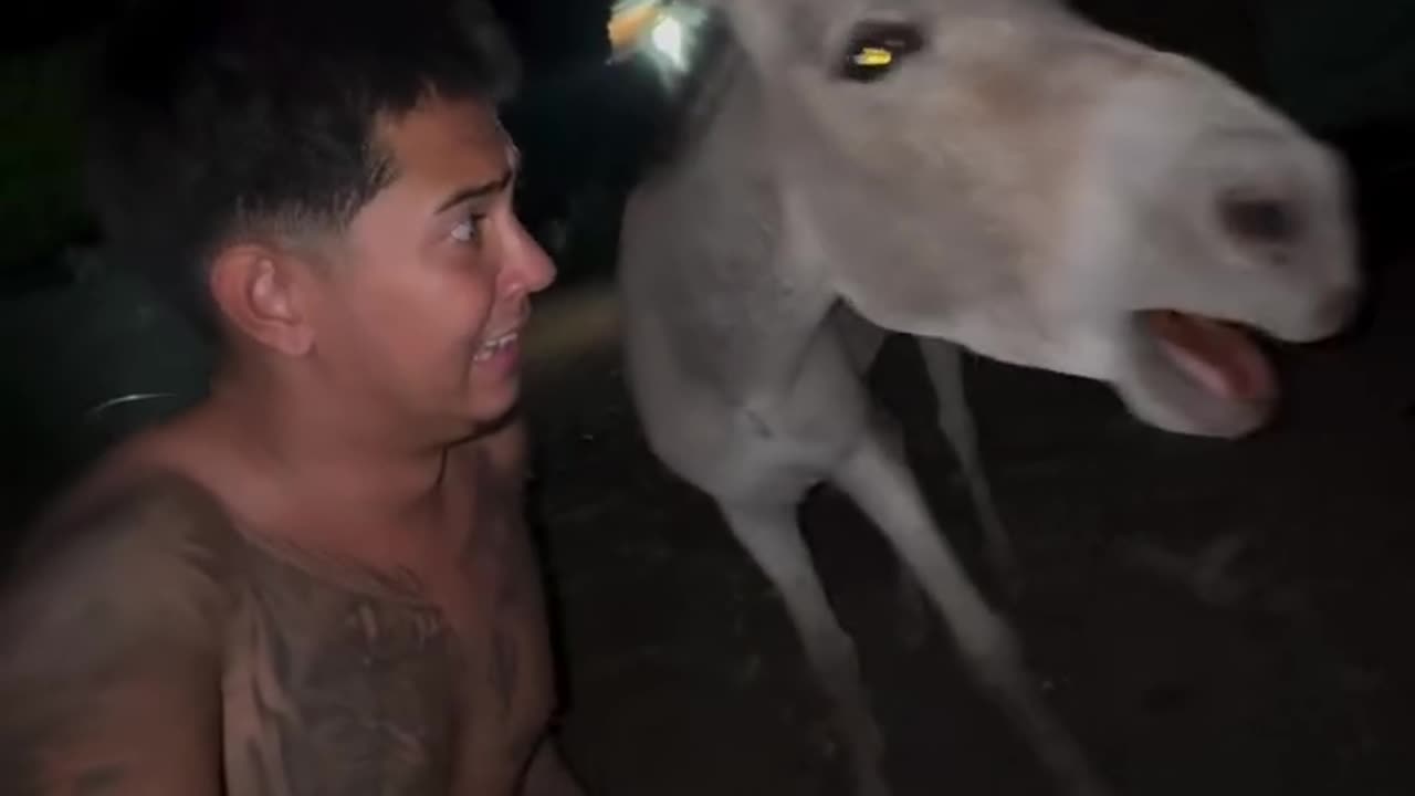 ARRUMEI UM JEITO DE COMER PICANHA