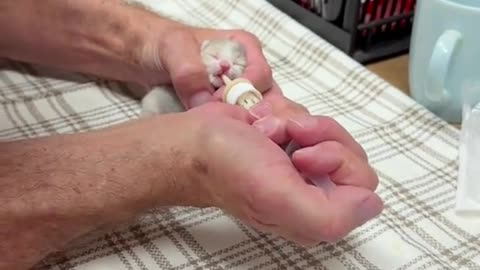 rescue