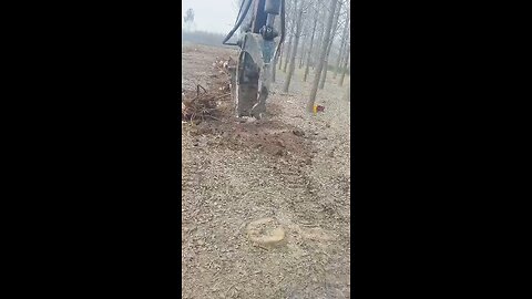 When Heavy Machinery Meets INSANE Power! 💥