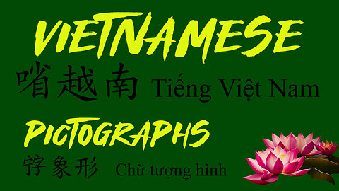 PICTOGRAPHS - Vietnamese Lessons - 𡨸象形 Chữ tượng hình - 排學㗂越 Bài học tiếng Việt