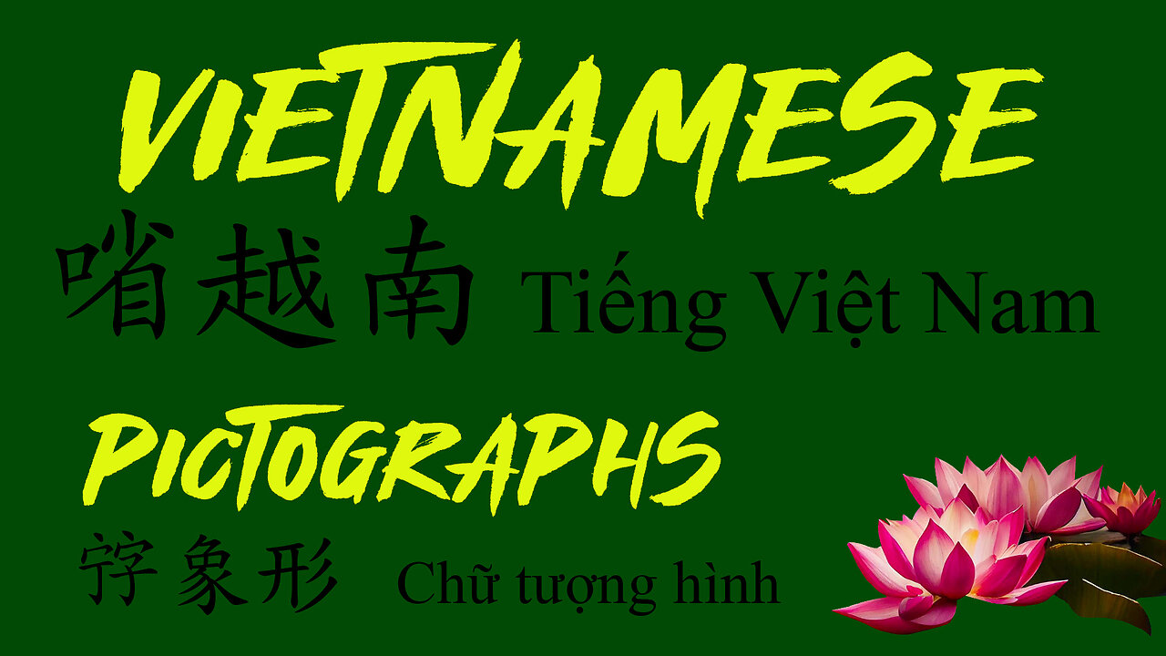 PICTOGRAPHS - Vietnamese Lessons - 𡨸象形 Chữ tượng hình - 排學㗂越 Bài học tiếng Việt