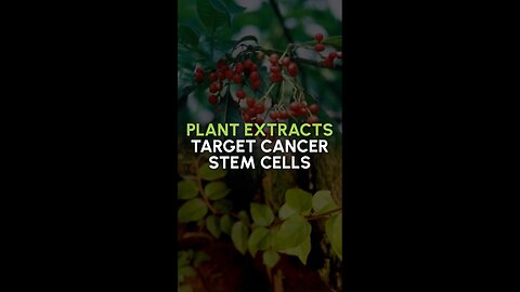 Plant Extracts Target Cancer Stem Cells