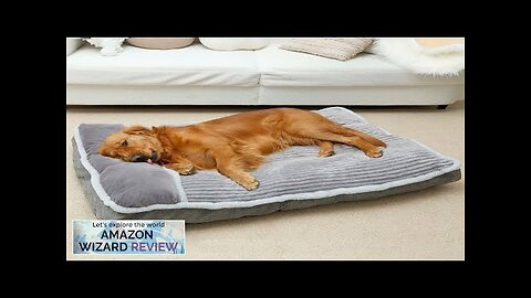 Dog Bed for Small Dogs Dog Mattress with Pillow for Crate Kennel Review