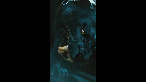 "Black Panther: Battle for the Throne" #viral