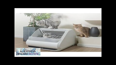 Cat Bedpans Smart APP Control & Odor Eliminator No Smell Open Review