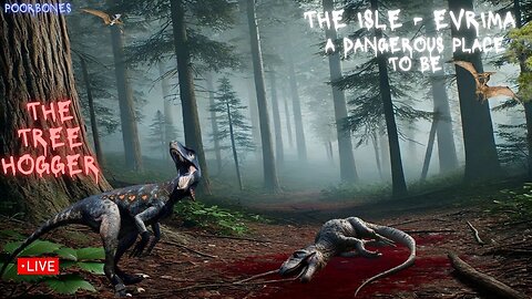 👣The Isle Evrima - game plya, Tree hogger round 2, come relax 🦖