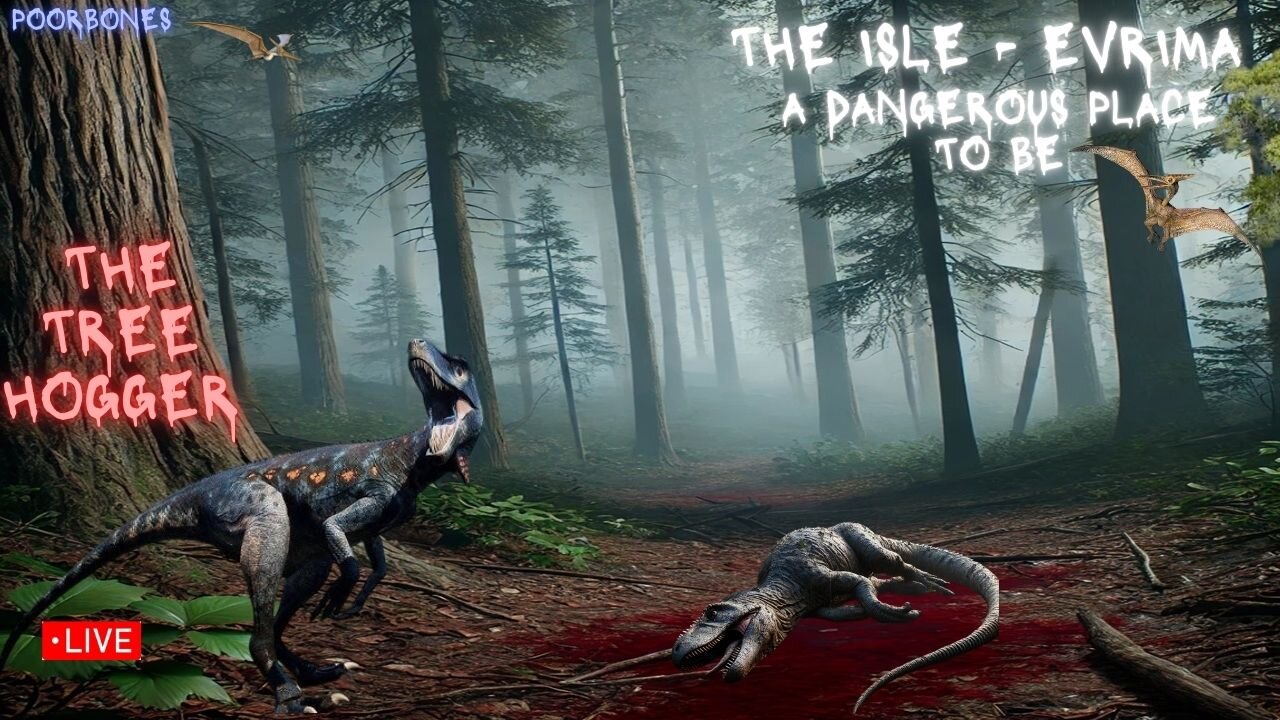 👣The Isle Evrima - game play, Tree hogger round 2, come relax 🦖
