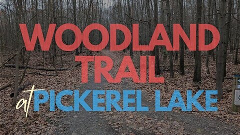 TURKEYS on the Woodland Trail, Cloudy Fall Hike | Full Hike POV | Hiking, Nature ASMR | Kent, MI