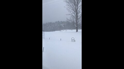 Snow in Michigan￼