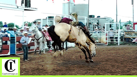 Bronc Riding - 2024 White Deer Rodeo