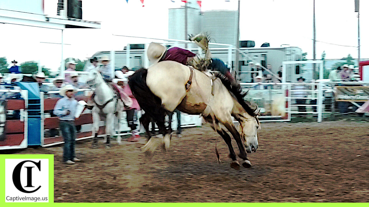 Bronc Riding - 2024 White Deer Rodeo