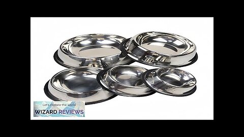 Pet Dog Cat Stainless Steel Bowl Pet Feeding Bowl Cat and Dog Review