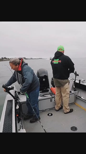 It's not a vehicle, it's the circle